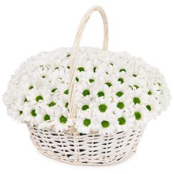 Корзина из белых хризантем 